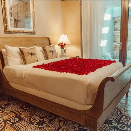 Lavish Bed of Roses – The O:live Experience