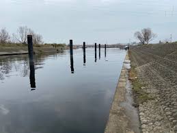 本日の荒川温排水 | 迷探偵conanの釣れない釣り日記
