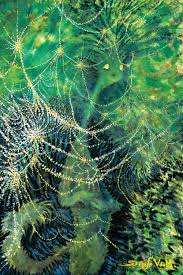 Below are some of the 'midnight paintings', allowing us a glimpse into the mind of the author whose works we grew up with. The Secret Art Of Theodore Geisel Nuvo