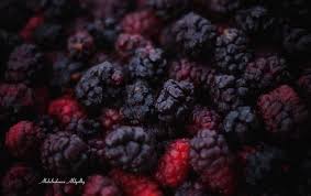 تصويري التوت الطائفي ويعتبر من أغلى الثمار الموسمية التي تشتهر بيها الطائف عبدالرحمن الدغيلبي السعودية الطائف مرشد سياحي مو Blueberry Fruit Food