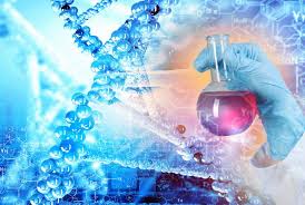 De dietrich is one of the pioneers of near condensing and condensing boiler technology. De Dietrich Process Systems Chemical Process Solutions And Services