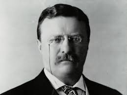 Redeeming Roosevelt by Robert Carle