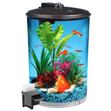 Hawkeye 3 Gallon 360 View Aquarium Kit Aquarium Kit Betta Fish Tank Aquarium
