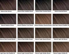 10 best brown hair chart images brown hair chart hair