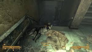 Dogmeat is a possible companion of the lone wanderer in 2277. Dogumeatu