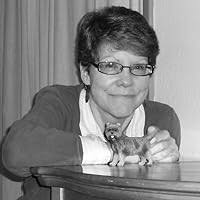 Illumination by Terry McGarry