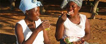 Zambia has one of the highest national debts in the world and the gdp per capita is about $13 hundred. Zambia Nutrition Assessment Counselling And Support Nacs Training Materials For Community Volunteers Food And Nutrition Technical Assistance Iii Project Fanta