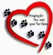 13 how do i burry a dead pet religiously? Pin On For The Doggie Lover In Me