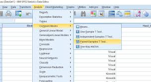 Uji T Dengan Spss Mitra Riset