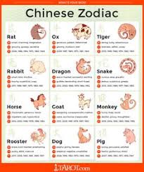 15 Best Eastern Zodiac Images Eastern Zodiac Zodiac