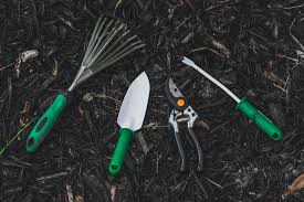 We did not find results for: 10 Essential Gardening Tools And What They Do Cnet