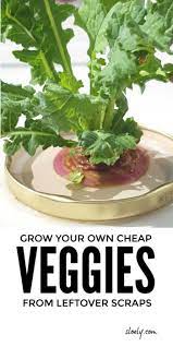 Pin On Kitchen Hacks