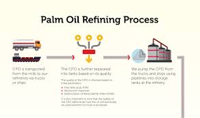 Conversion of crude palm oil to refined oil involves removal of the products of hydrolysis and oxidation, colour and flavour. How Oil Palm Is Grown Golden Agri Resources