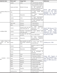 Image result for Tetracera boiviniana