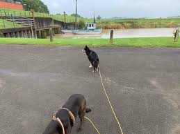 In diesem jahr fällt das fest erneut aus. Ostfriesland Ein Tag Am Deich Breier S Blog