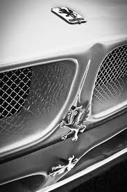 Image result for Medium Gray 1970 Iso