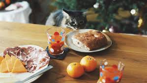 Some tuna now and then probably won't hurt. Can Cats Eat Bread Is Bread Safe For Cats Cattime