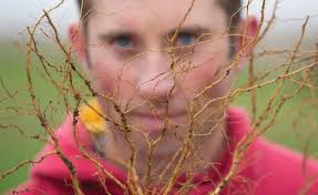 SMALL SCIENCE BIG IMPACT