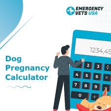 It is not necessary to put water into a puppy's crate or pen at night. Dog Pregnancy Calculator 2021 Canine Gestation Due Date Estimation