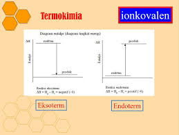 Menggambarkan skema reaksi yang lebih rumit hal tersebut bertujuan guna mengetahui senyawa awal atau akhir, atau juga untuk menunjukkan fase. Jelaskan Perbedaan Antara Reaksi Eksoterm Dan Reaksi Endoterm Berikan Pula Contohnya Brainly Co Id