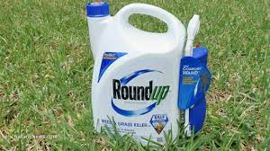 Five Reasons Why Roundup Should Be Banned Forever Cancer Natural News Monsanto