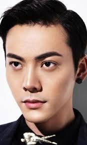 William Chan-陳偉霆-Chen Wei Ting Fans