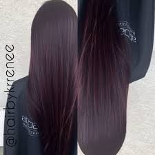 Radiant brown, rosewood red, autumn copper, deep plum, golden brown, blue black, honey blonde. 28 Benefits Of Plum Brown Hair That May Change Your Perspective Plum Brown Hair The World Tree Top