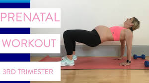 Prenatal Workout Plan Sarah Fit