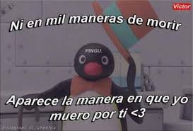 Pin On Xd