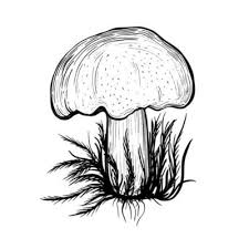 Psychedelic trippy mushroom pattern neon bright vector. Free Mushroom Vector Art