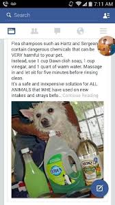 Pin By Jessi Wells On Animals Flea Shampoo For Dogs Flea Bath For Dogs Dog Flea Remedies