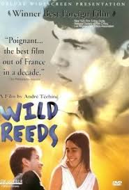 Indra grateful for the return of the tragedy of the storm that claimed two lives of his friends and him ashore on an island for nine months. Discover Wild Reeds Online At Filmdoo