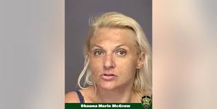 Sebring woman faces kidnapping charges after allegedly stealing car with  two children inside