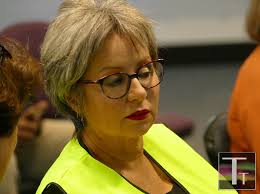 Sue Hickey: It's All About Health And Housing