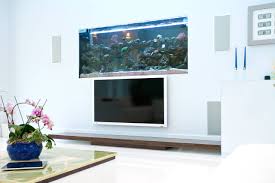 Find the perfect aquarium living room stock photos and editorial news pictures from getty images. Modern Fish Tanks Living Room Ideas Photos Houzz