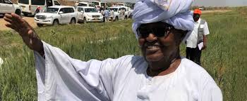 Dispecerat pentru primirea reclamaţiilor şi intervenţii: Sudan S Record Wheat Harvest Is Proof That Bank Agricultural Transformation Program Will Boost Breadbasket Goal Banque Africaine De Developpement Batir Aujourd Hui Une Meilleure Afrique Demain
