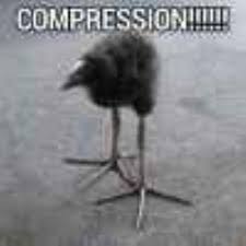 Image result for tbn:ANd9GcSHbzXs1kessAqDv7vBRCjqGb5EOeKOyWWMr8QKkcYGZeP2G5KpJA