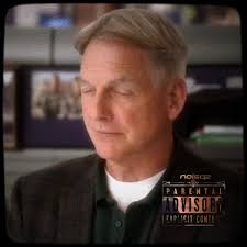 they are so cute.... 🤩 |Scp:@georgia ୨୧ #viral #fypシ #foryoupage #omgpage  #mmerschristmas #leroyjethrogibbs #emilyfornell #gibbsandemily #theedifs  #ncisedits #ncistem