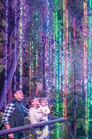 Garden Lights Holiday Nights Holiday Nights Atlanta Botanical Garden Garden Lighting