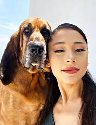 Ariana Grande isn't just a pop icon—she's a true friend to animals. A  dedicated vegan, she has opened her heart and home to numerous rescue dogs.  In 2015, she told Billboard, “I