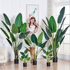 All categories artificial flower & plant artificial plant plant decoration planter potted flower potted plant buloh, 47000 selangor, malaysia. Banana Leaf Artificial Plant Home Deko Bird Leaf Shopee Malaysia