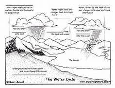 Water Cycle Fill In The Blank Quiz Exploring Nature Educational Water Cycle Worksheet Water Cycle Activities Water Cycle Diagram