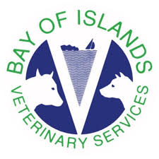 Bay Of Islands Veterinary Services Kerikeri