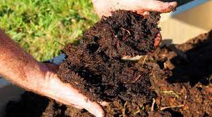 Do not use too much. Can You Add Too Much Compost To Your Soil The Facts Simplify Gardening