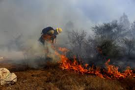 Se mantiene alerta roja en quilpué y amarilla en santo domingo. Quilpue Se Mantiene La Alerta Roja Por Incendio Forestal