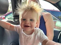 Omnivore's Homestead...