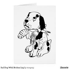 Pin On Skool Taak Gr 6 Diere Mishandeling