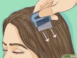 Lice are tiny insects that feed on human blood. 4 Ways To Remove Nits From Hair Wikihow