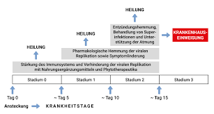 Covid 19 Therapeutische Herangehensweise Ippocrateorg