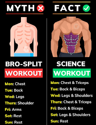 can anyone do a bro split